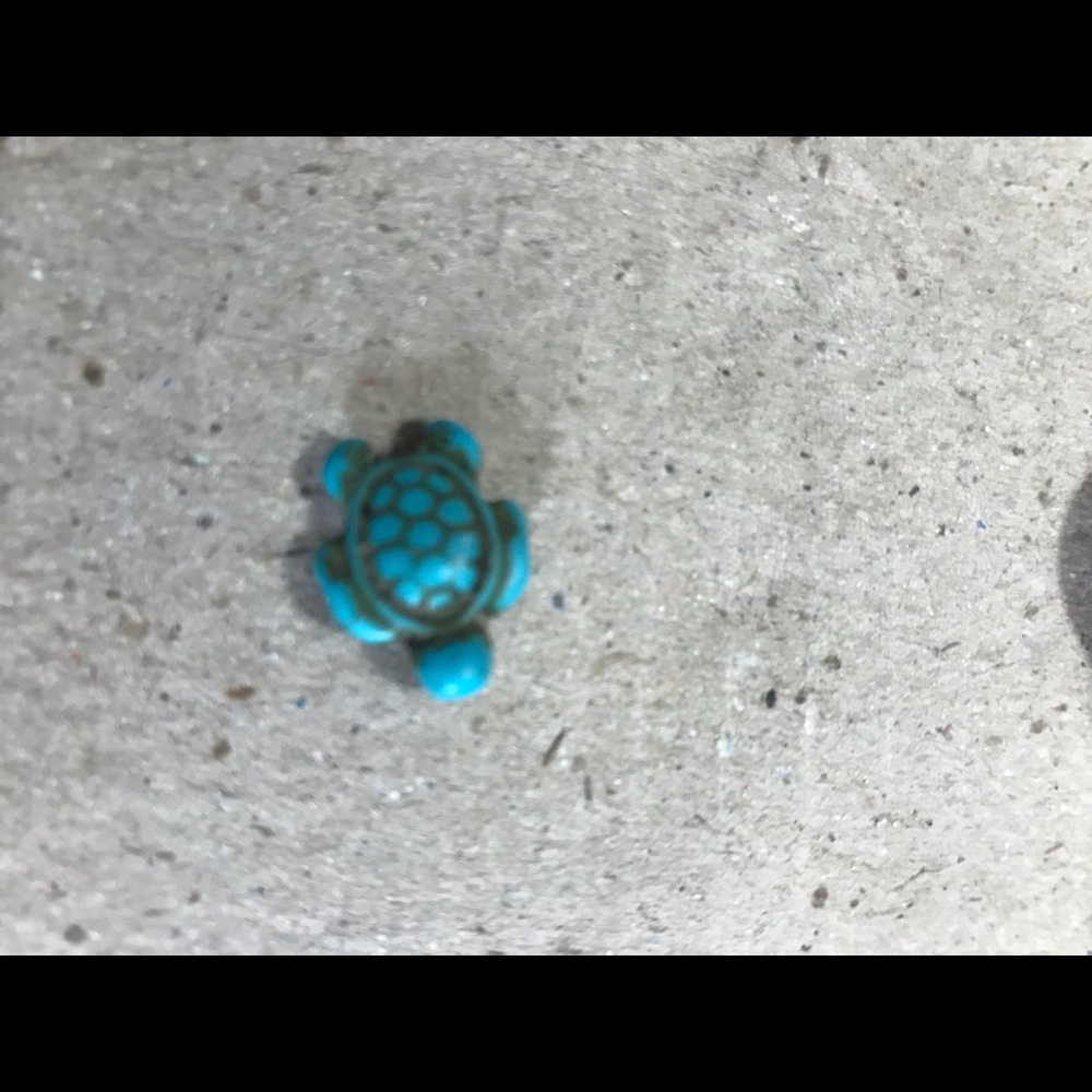 Turtle charm